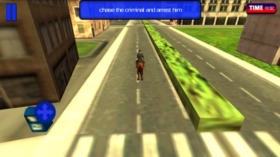 Cop Horse Riding screenshot 2