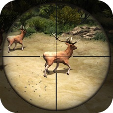 Activities of Sniper Hunter Champion