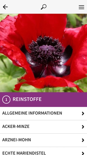 Botanischer Garten Frankfurt(圖5)-速報App