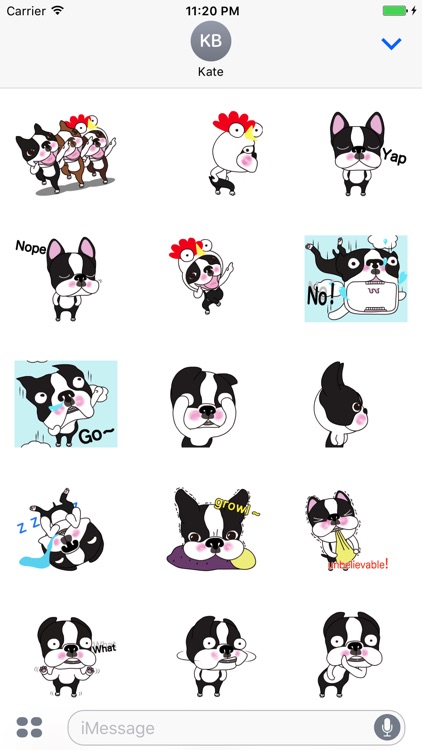 Boston Terrier Animated Sticker