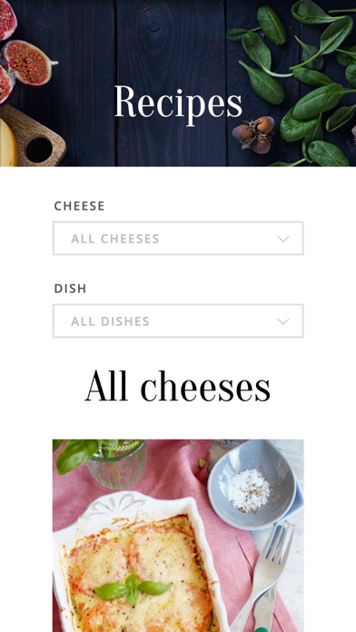 VILVI Cheese Collection screenshot 2