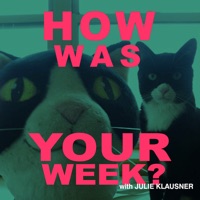 THE HOW WAS YOUR WEEK WITH JULIE KLAUSNER APP
