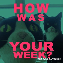 THE HOW WAS YOUR WEEK WITH JULIE KLAUSNER APP