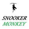 SNOOKER MONKEY