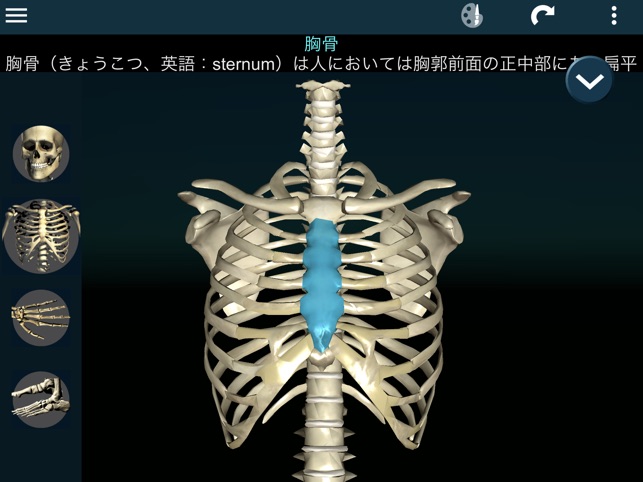 3d人骨 解剖学 をapp Storeで