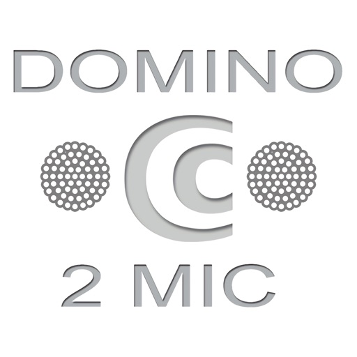 DOMINO 2MIC SETTING iOS App
