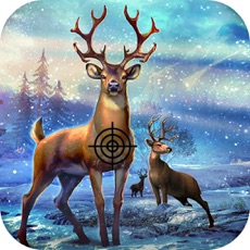 Activities of Snow Forest Hunter Pro