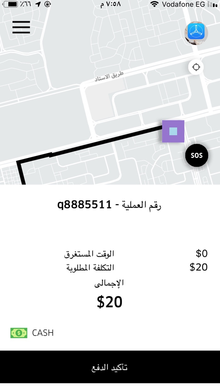 seagulls taxi driver