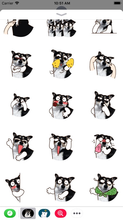 Husky Dog Animated Stickers