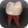 Real Tooth Morphology