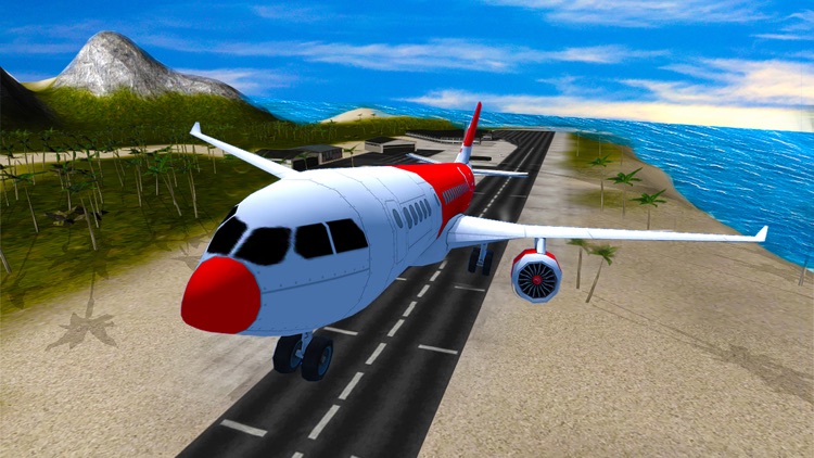 Airplane flight simulator 3 screenshot-3