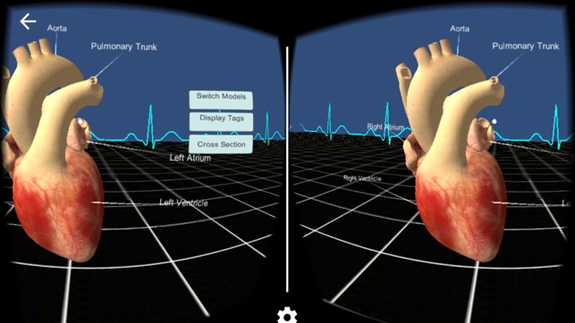 Living Heart for Cardboard VR(圖1)-速報App