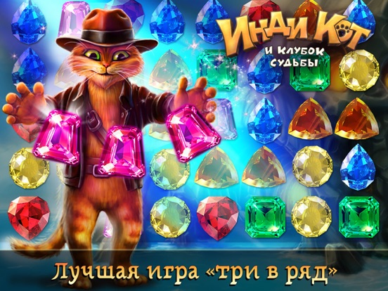 Инди кот для ВКонтакте на iPad
