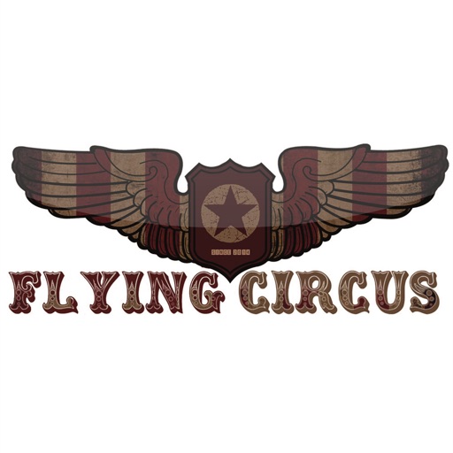 Flying Air Circus