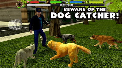 Stray Dog Simulator Screenshot 5