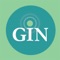 What is the GIN System