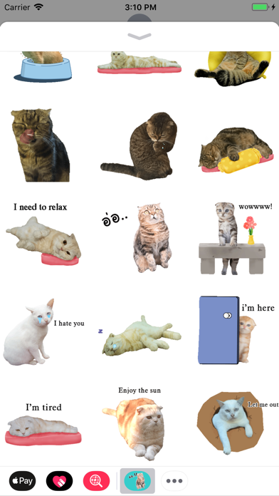 Oh My Cat Animated Stickers screenshot 2