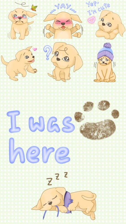 Pip the Labrador Pup screenshot-4
