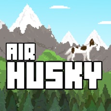 Activities of Air Husky