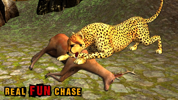 Wild African Cheetah Simulator