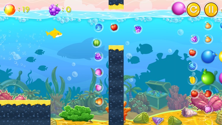 Baby Shark Adventure