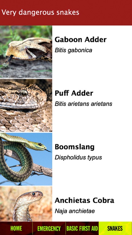 Snakebite First Aid in Africa