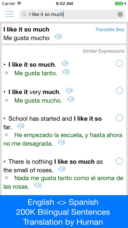 Spanish Translator Offline