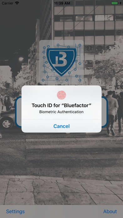 Bluedrive Bluefactor screenshot 4
