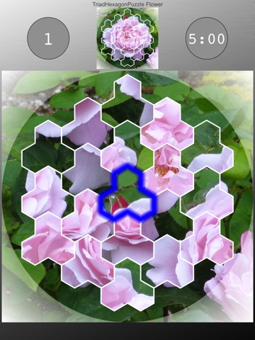 TriadHexagonPuzzle Flower screenshot 4