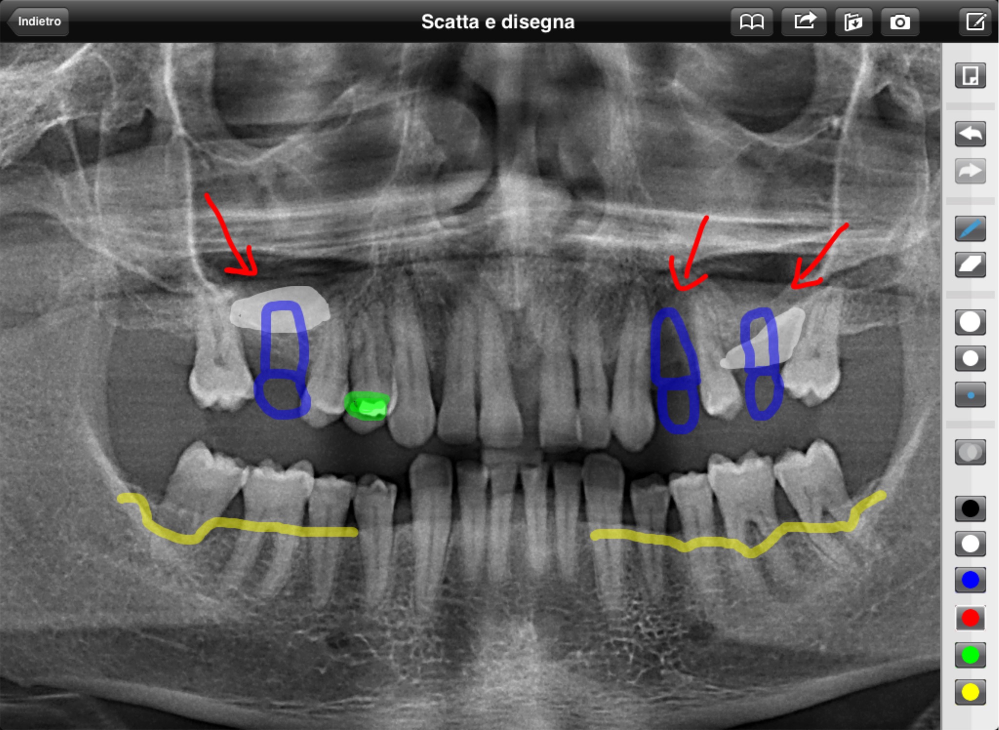 Dental Communication screenshot 4