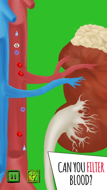 Inside The Human Body PREMIUM screenshot-7