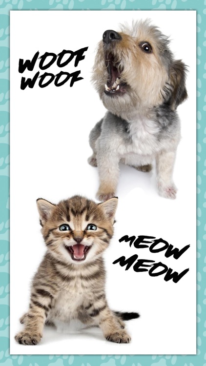 Dogs and cats sounds - Meows and barks