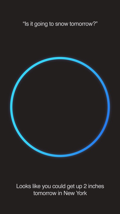 Echo for Amazon Alexa screenshot 2