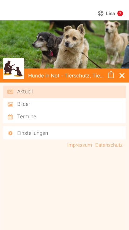 Hunde in Not - Tierschutz