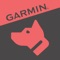 Monitor your dog’s activities and use your iPhone as a training remote with Garmin Canine