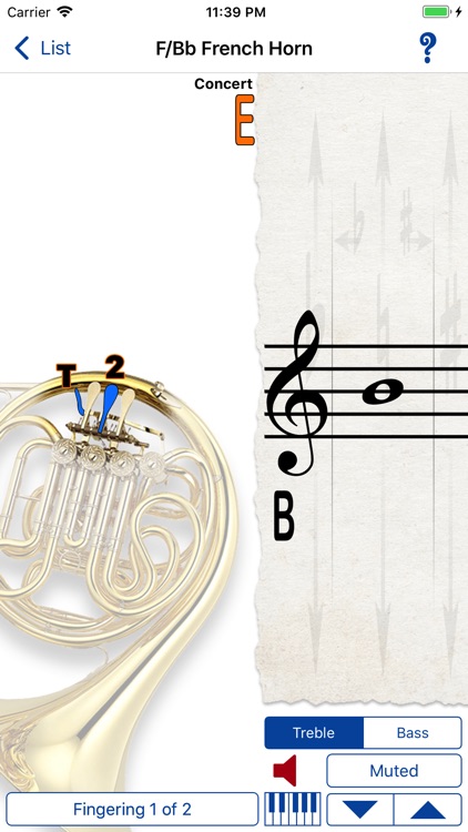 Fingering Brass for iPhone screenshot-3