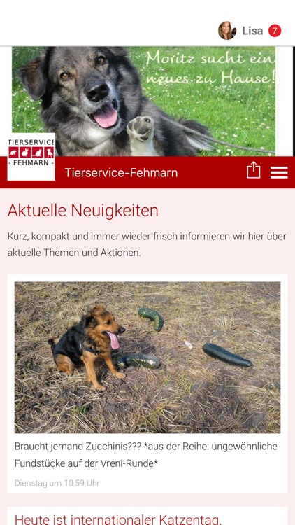 Tierservice-Fehmarn