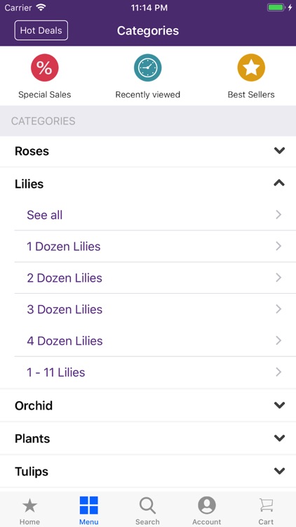 VietnamsFlorist Online Florist screenshot-3