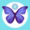 AR Butterflies