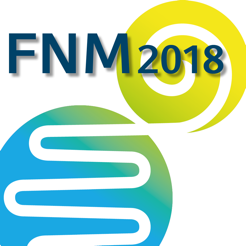 FNM 2018