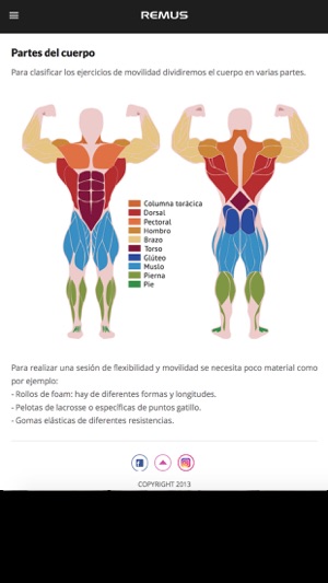 Flexibilidad y Movilidad(圖2)-速報App