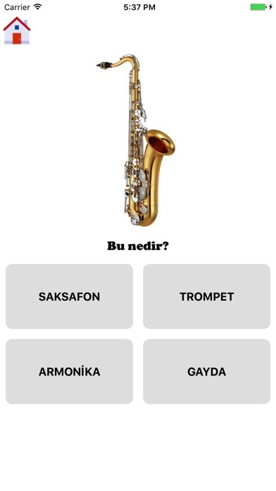 Learning Turkish - Basic Words screenshot 3