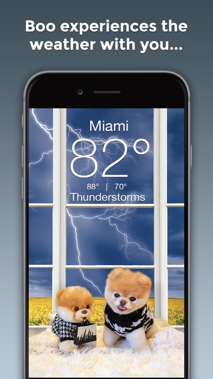 Boo Weather