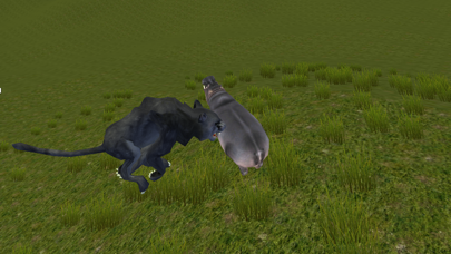 Wild Black Panther Simulator screenshot 3