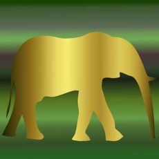 Activities of Elephant Memory Challenge