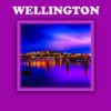 Wellington City Offline Guide