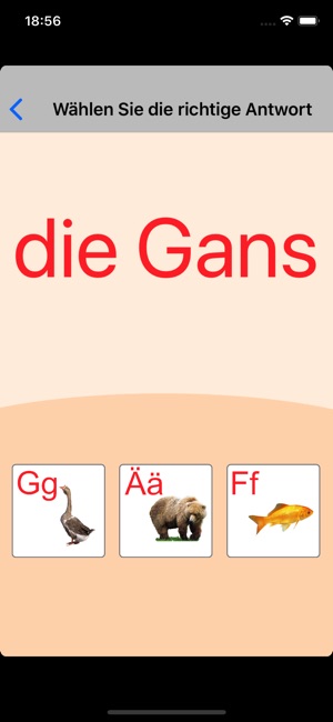 German Alphabet Learning Cards(圖6)-速報App