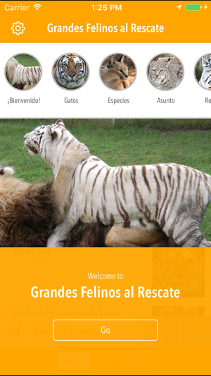 Grandes Felinos al Rescate(圖1)-速報App