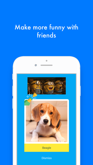 What Dog: What is your dog?(圖2)-速報App