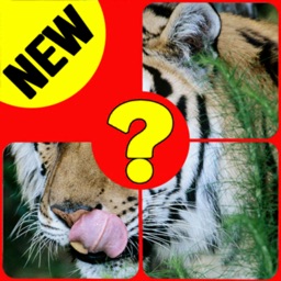 Animal Kingdom Quiz Name